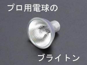 楽天市場】beamax jcr 100v200wの通販