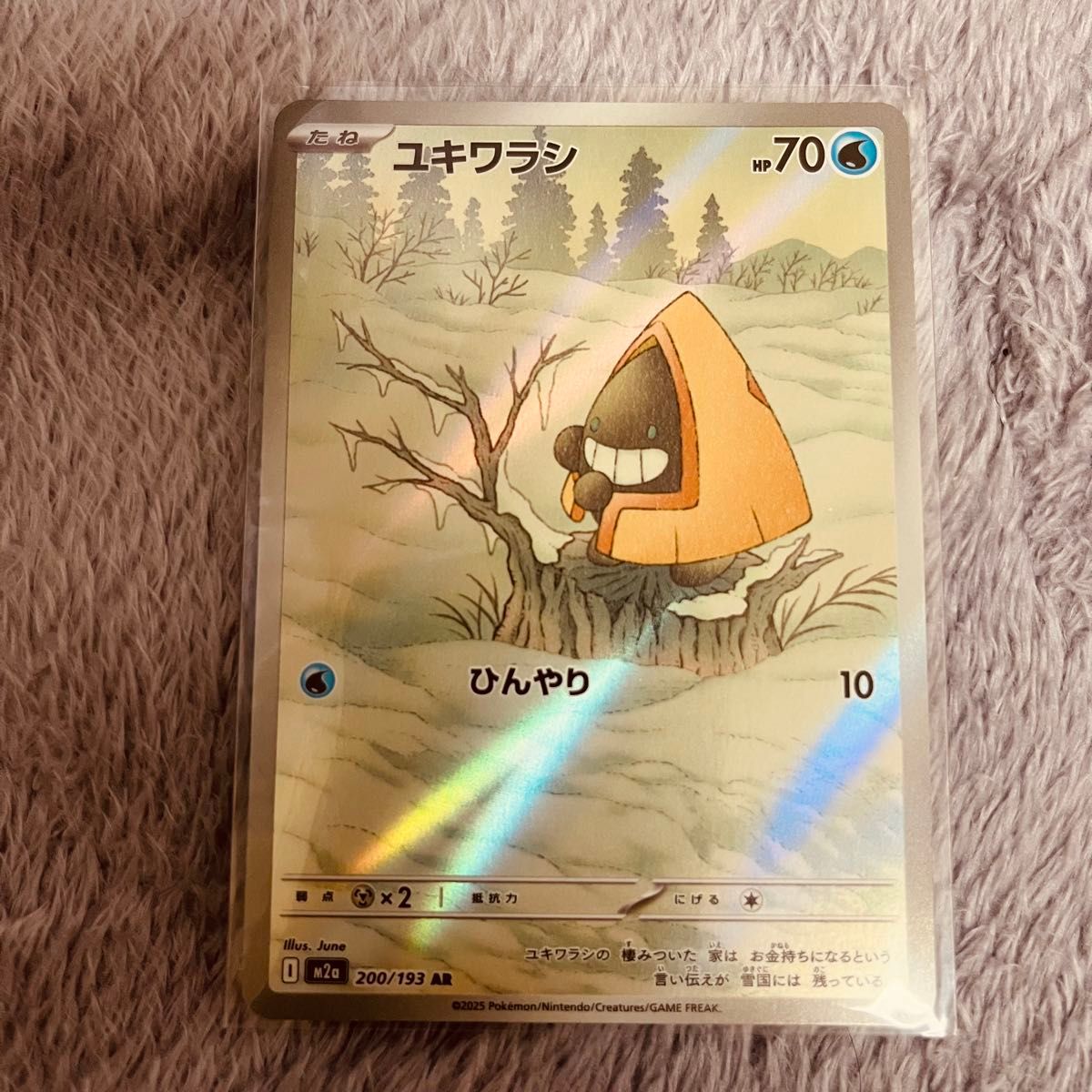 MEGA ドリームex メガルカリオex MA NのゼクロムAR メガドリーム