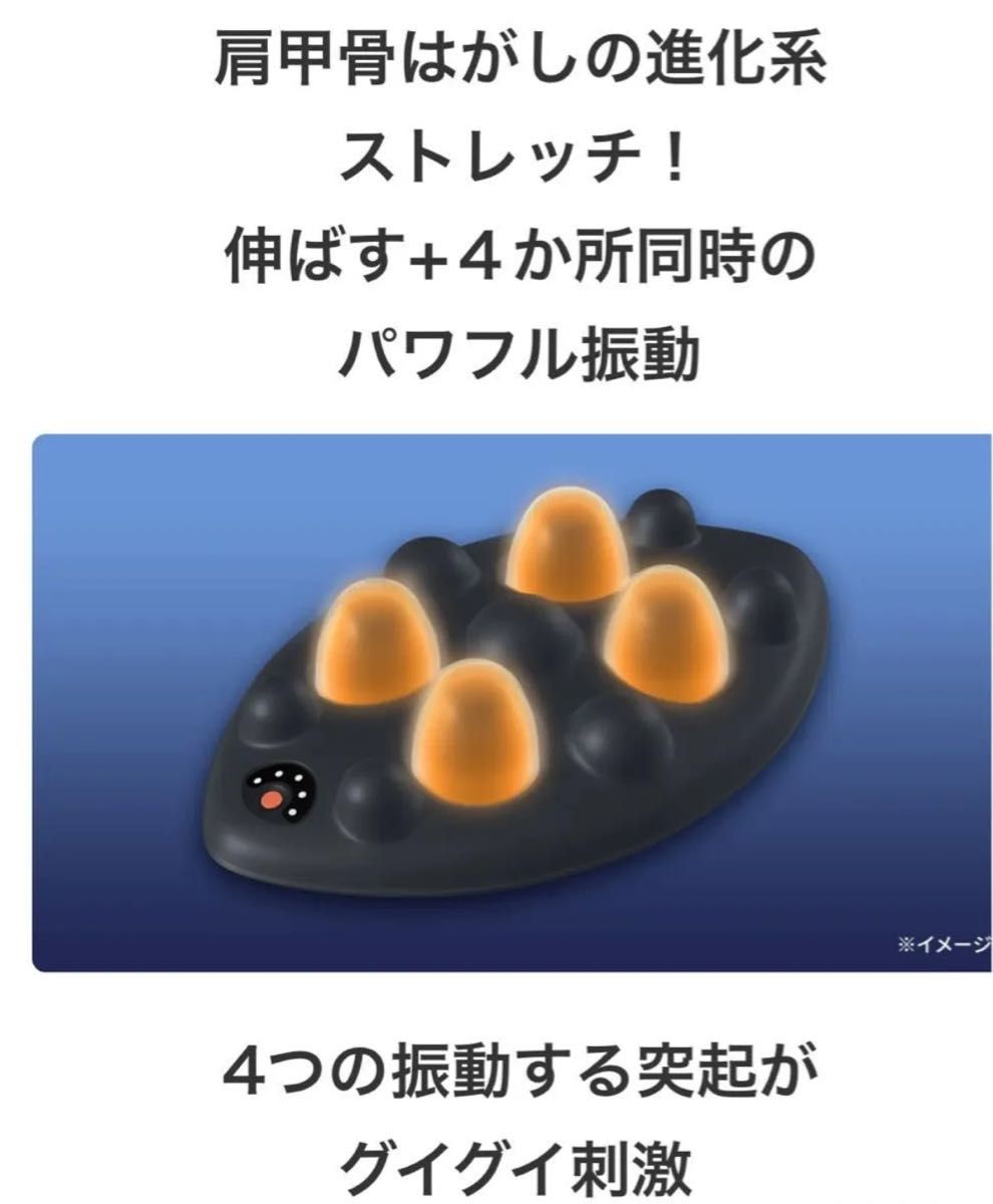 エイミー スリムビューティパッド 新品｜Yahoo!フリマ（旧PayPayフリマ）