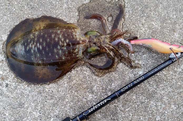 ヤマガブランクスのカリスタ！フラッグシップモデルのインプレ・評価は