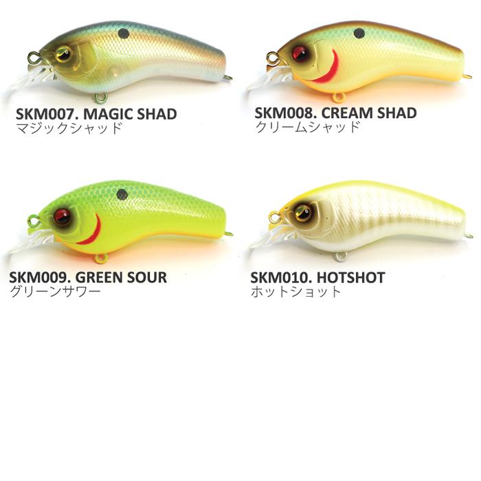 RAID JAPAN（レイドジャパン） SKM スーパー高速マシーン : バック