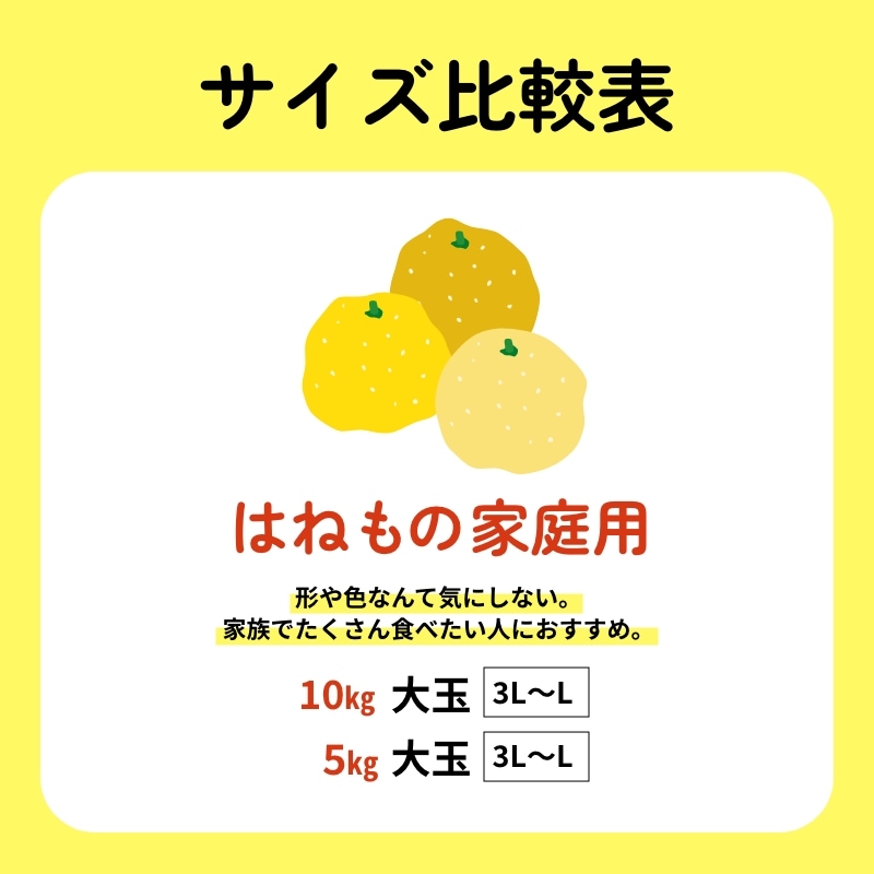矢野農園 土佐文旦3L(10㎏)｜土佐うまいもの100選｜高知のお土産 通販