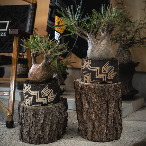 senhachi - OLD MOUNTAIN OFFICIAL